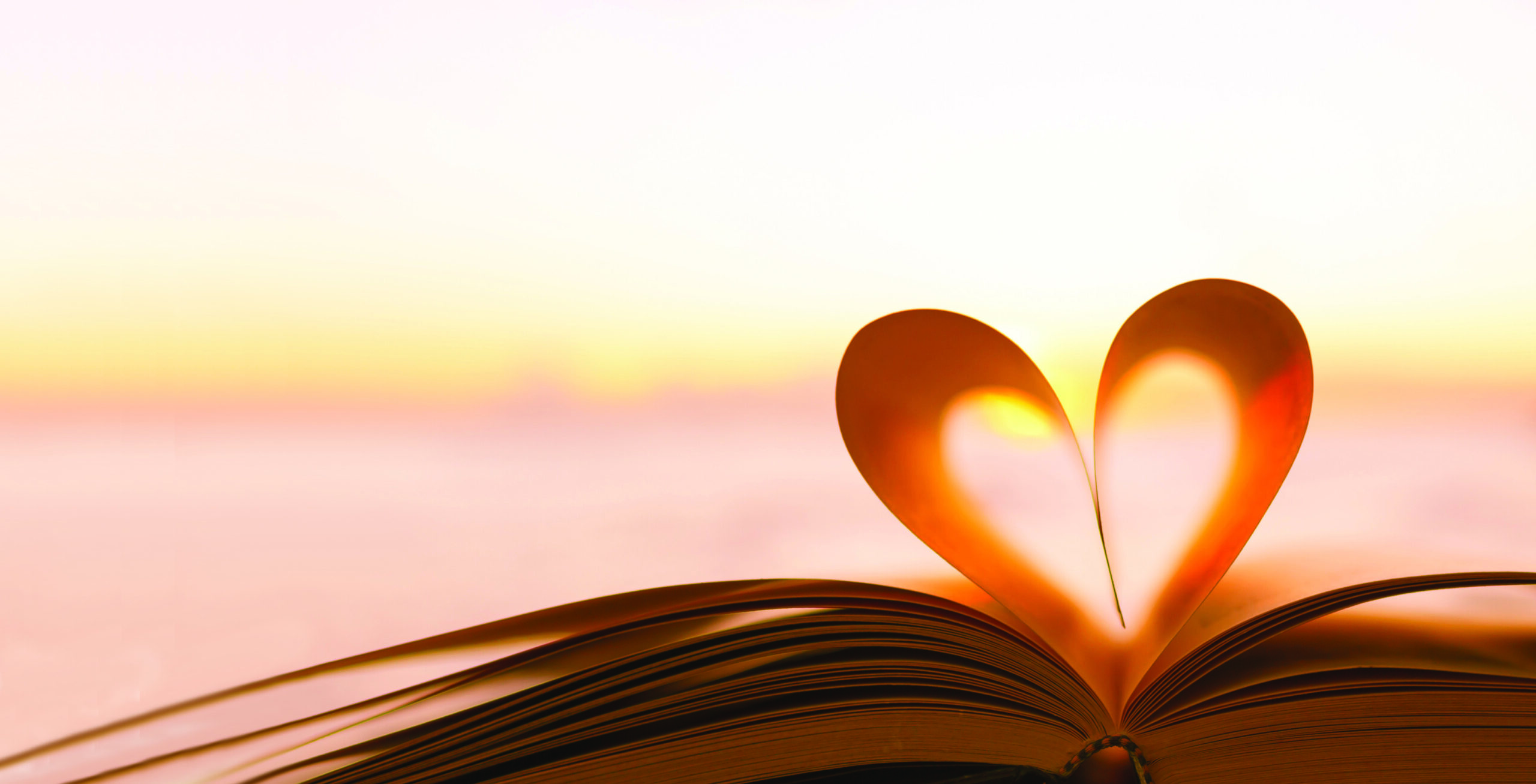 An open book with two pages bent together to form a heart shape.