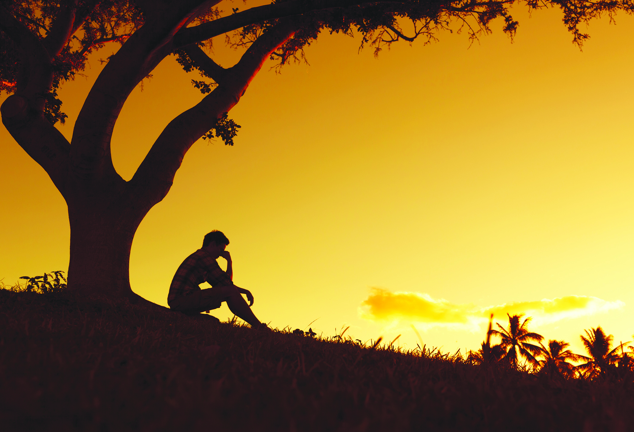 **Alt Text:** A person sitting alone under a tree at sunset, symbolizing solitude and reflection during a time of grief and loss.